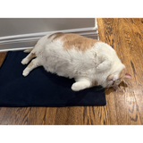 The Big House Cats  Biggie the Cat Plush  by Makeship.