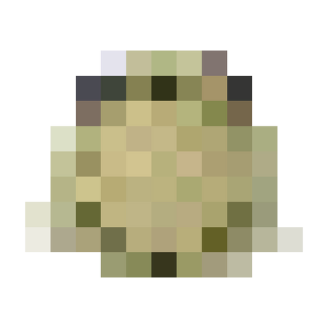Wise Frog Plush