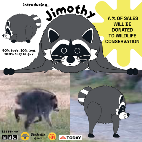 Jimothy the Raccoon
