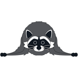 Jimothy the Raccoon