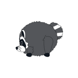 Jimothy the Raccoon