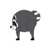 Jimothy the Raccoon